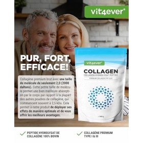 Collagène en Poudre 500 g - 100% Collagène Bioactif hydrolysat Peptides - Type 1 et 3 - Goût Neutre - Sans additifs Acide hya...