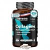 Collagène Marin Hydrolysé avec Magnésium Acide Hyaluronique Coenzyme Q10 – 120 Gélules – Peau Os Articulations – Vitamines A 