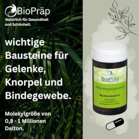 BioPräp Lot de 60 capsules dacide hyaluronique avec MSM - Végétalien - Production certifiée
