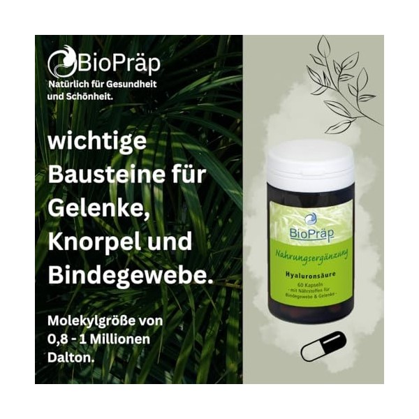 BioPräp Lot de 60 capsules dacide hyaluronique avec MSM - Végétalien - Production certifiée