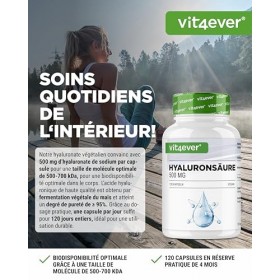 Acide hyaluronique - 120 gélules contenant 500 mg dhyaluron pour 4 mois - 500-700 kDa - Issu de la fermentation végétale - S