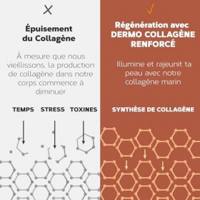 Collagene Marin Poudre 275g | Peptide de Collagene Hydrolysé Peptan 5000mg Collagène Marin Acide Hyaluronique, Ovomet et Biot