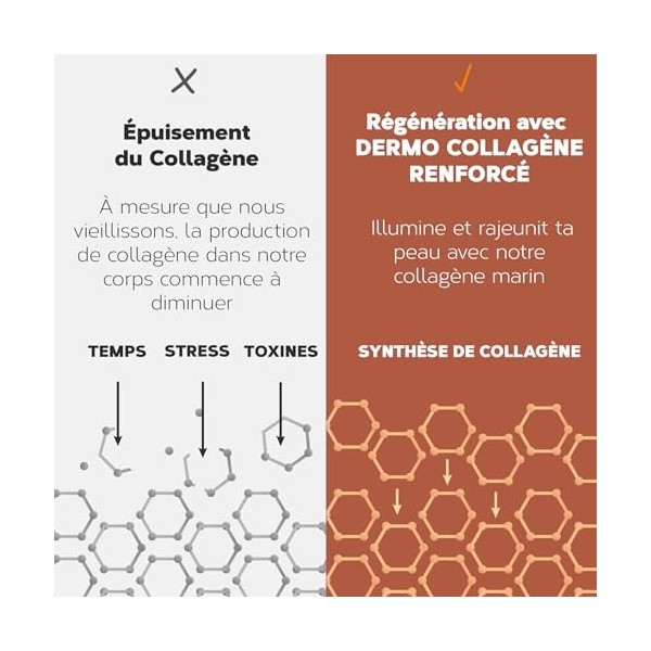 Collagene Marin Poudre 275g | Peptide de Collagene Hydrolysé Peptan 5000mg Collagène Marin Acide Hyaluronique, Ovomet et Biot