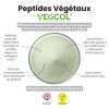 Pro Collagène Végan VEGCOL® - Peptides Végétaux en poudre - Alternative au Collagène Marin Type 1 & 3 - Efficacité cliniqueme
