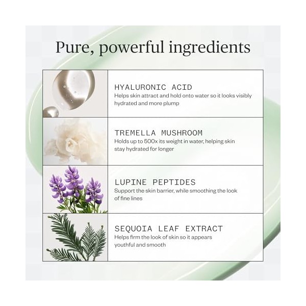 Ursa Major Forest Water Hyaluronic Acid Serum 30ml