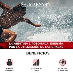 MARNYS CARNITIN 3000 liposomada 14viales – se dose précisément selon la quantité recommandée, supplément liquide à dosage sou