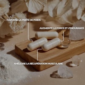 Acetyl L-Carnitine Pure – 500 mg – 60 Gélules – Énergie, Clarté Mentale & Récupération Musculaire