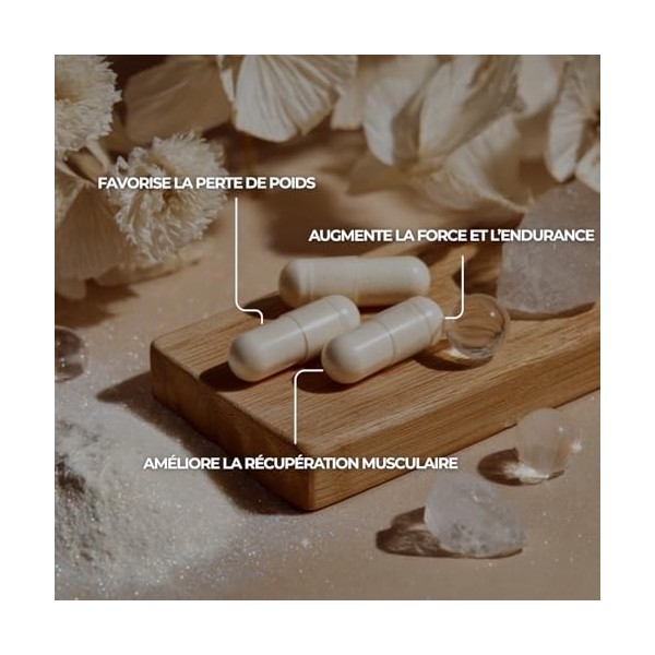 Acetyl L-Carnitine Pure – 500 mg – 60 Gélules – Énergie, Clarté Mentale & Récupération Musculaire