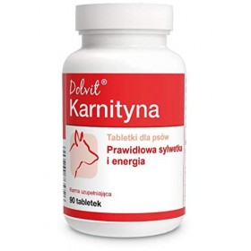 DOLFOS Dolvit Carnitine 90 comprimés Aliment complémentaire à Utiliser chez Les Chiens ayant Une activité Physique Accrue