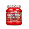 Amix Nutrition - Creatina Monohydrato - 300g - Créatine Food Complément à 100% Micronisé, Améliore les Performances Physiques...