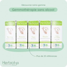 Macérat De Bourgeon Bio | Sans Alcool | Gemmothérapie | 30 ml | Herbiolys Myrtillier Huiles de cassis