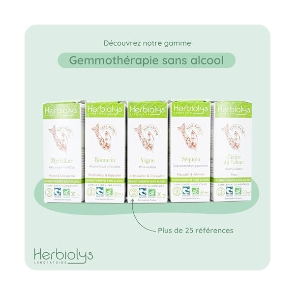 Macérat De Bourgeon Bio | Sans Alcool | Gemmothérapie | 30 ml | Herbiolys Myrtillier Huiles de cassis