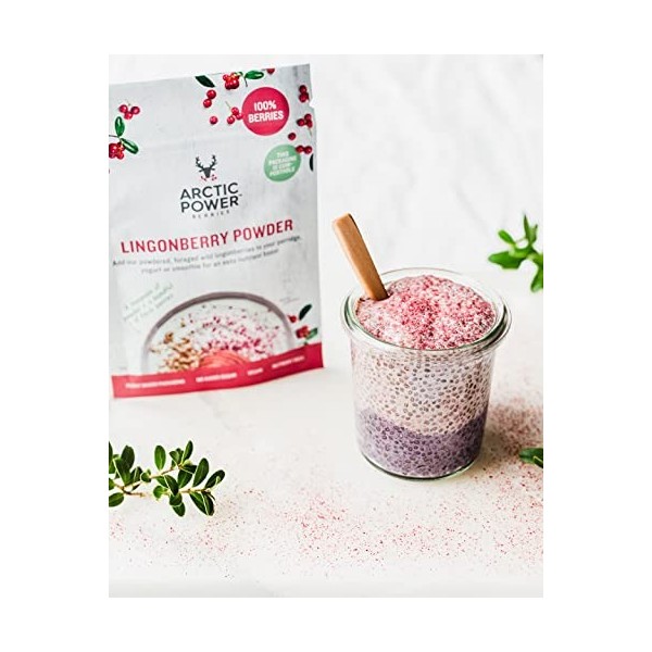 Artic Power Poudre de cassis 100% pure 30 g