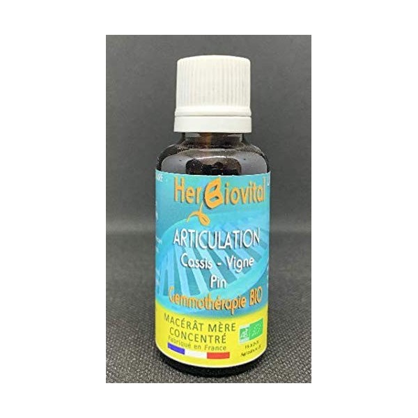 Herbiovital - Articulation - Le Macérât de la souplesse articulaire - Complexe de Gemmothérapie Concentrée - 30 ml - Améliore