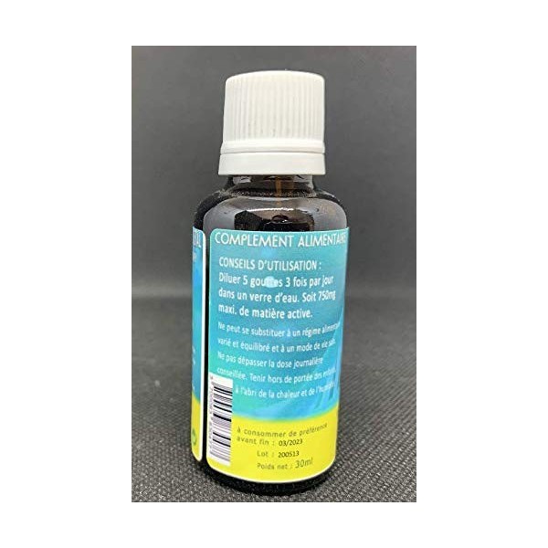 Herbiovital - Articulation - Le Macérât de la souplesse articulaire - Complexe de Gemmothérapie Concentrée - 30 ml - Améliore