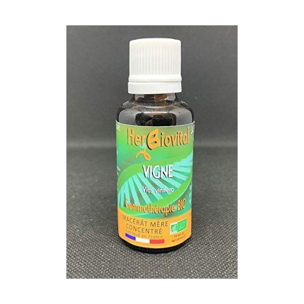 Herbiovital - Vigne Bio - Le Macérât des Articulations - Gemmothérapie Concentrée - 30 ml - Combat les Troubles de lAppareil