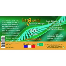 Herbiovital - Vigne Bio - Le Macérât des Articulations - Gemmothérapie Concentrée - 30 ml - Combat les Troubles de lAppareil