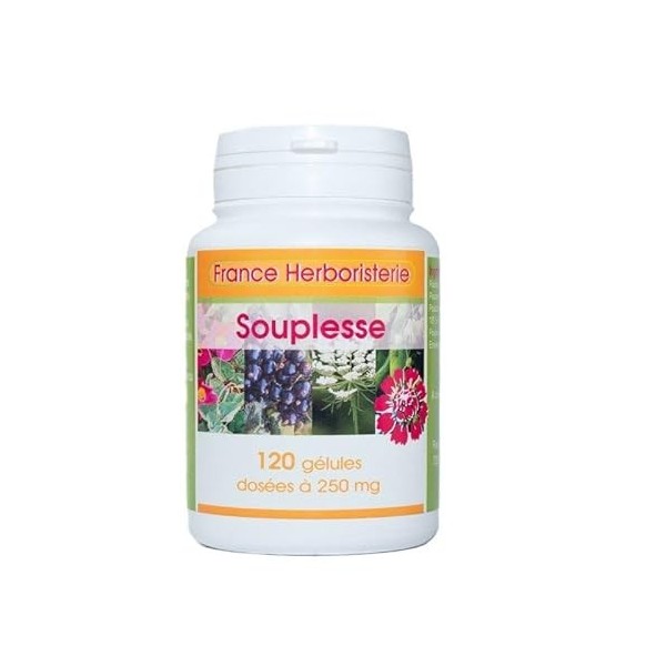 SOUPLESSE ARTICULAIRE 120 gélules 260 MG Poudre Pure
