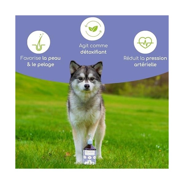 Wolfsbacher Huile de Lin Bio 500ml pour Chiens et Chats, Pressée à Froid DE-ÖKO-060 Oméga