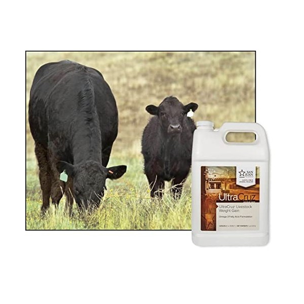 Supplément de gain de poids UltraCruz, 1 gallon, liquide approvisionnement de 32 jours 