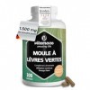 Moule Verte de Nouvelle Zélande 1500 mg - Omega 3 et Glycosaminoglycanes - 300 Gélules Poudre de Moules à Lèvres Vertes - Com
