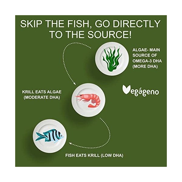 OMEGA 3 VEGAN - Huile dalgues 2000MG dorigine végétale. Haute concentration de 600 mg de DHA et 300 mg dEPA par dose quoti