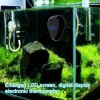 Thermomètre pour Aquarium – Composants électroniques PP 2.05x1.93in | Affichage numérique Poissons | Moniteur de Température 