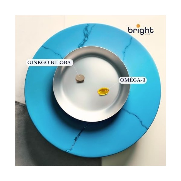 Oméga-3 et Ginkgo Biloba Premium Haute Puissance – Puissant adaptogène à haute biodisponibilité pour vitalité, concentration 
