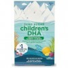 Gélifiés végétaliens DHA pour enfants, zéro sucre, oméga-3 à partir dhuile dalgues, citron fruit de la passion, 30 bonbons 