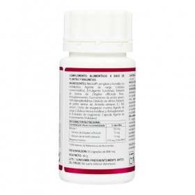 EQUISALUD HOLOMEGA STOP-DOL 50cap. – complément complet proposé en gélules pratiques, boîte de 50 gélules, contribue au fonct