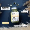 OMEGA 3 EPAX® Huile Pure issue de Poissons Sauvages - EPA DHA Hautement Concentrés – Santé du Cœur, du Cerveau et de la Visio