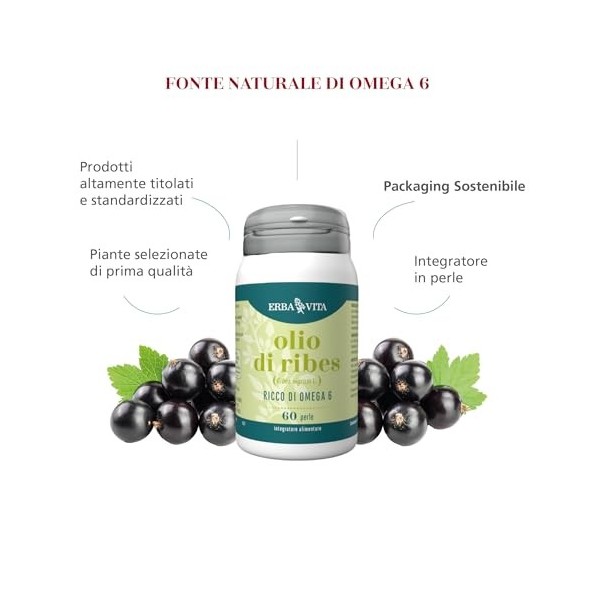 Erba Vita Olio Di Ribes Integratore Alimentare Di Omega 6 60 Perle