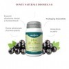 Erba Vita Olio Di Ribes Integratore Alimentare Di Omega 6 60 Perle