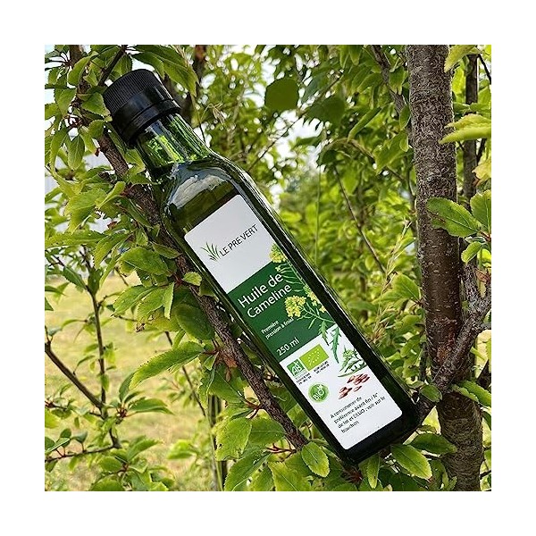 HUILE DE CAMELINE BIO - Alimentaire - Source dOméga 3 - Le Pré Vert - 250 ml - Fabriquée et extraite par pression à froid