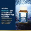 Omega 3 Essence Pure - 90 Gélules | EPA 600mg & DHA 400mg | Absorption Maximale | Forme Triglycérides | Soutien Cœur, Cerveau