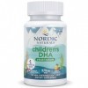 Nordic Naturals, Vegetarian Childrens DHA, 375mg dOméga-3 dHuile dAlgues, avec EPA et DHA, 120 Capsules molles végétalien