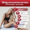 VivoNu Astaxanthine 12 mg, 240 Gélules pour 4 Mois | Complément Antioxydant Premium | Source de Microalgues Fraîches | Sans A...
