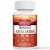 Astaxanthine Liposomale en Gélules Molles - NON OGM - 60 gélules molles pour un usage quotidien 60 Unités Lot de 1 Astaxanthine