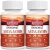 Astaxanthine Liposomale en Gélules Molles - NON OGM - 60 gélules molles pour un usage quotidien 60 Unités Lot de 1 Astaxanthine