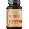 Capsules de Bêta-Carotène Issues de Carottes Naturelles – 210 Gélules Bronzantes – 7 mg de Bêta-Carotène par Gélule – Pack Éc