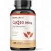 CoQ10 300 mg - 120 gélules - Haute absorption - Sans OGM - Sans gluten - Supplément de coenzyme Q10 - Gélules de CoQ10