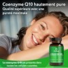 Vitabay Coenzyme Q10 Ubiquinone 200 mg – 120 capsules végétales – CoQ10 hautement dosé – Q10 naturel issu de fermentation vég