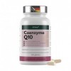 EXVital® Q10 Coenzyme, 200 mg par gélule, 120 gélules végétaliennes, suffit pour 4 mois, hautement dosé et sans additifs, pro