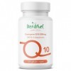 Coenzyme Q10 200mg | 120 gélules végétaliennes de CoQ10 100% pure pendant 4 mois | Q10 naturellement fermenté | Antioxydant, 
