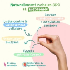 Antioxydant 120 gélules - 2 à 4 mois BlO | 70% dOPC | Extrait de Pépins de Raisin | Premium & Vegan | Garanti sans produit