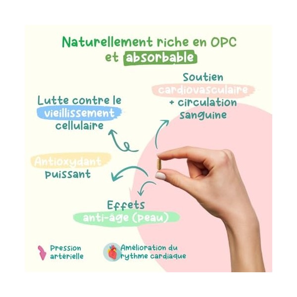 Antioxydant 120 gélules - 2 à 4 mois BlO | 70% dOPC | Extrait de Pépins de Raisin | Premium & Vegan | Garanti sans produit