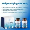 Layer Origin MitiAging Lot de 2 bouteilles anti-âge : Gut Biome Restore et Mitochondria Revive - Stimule la santé cellulaire 