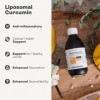 Supplément de curcumine liposomale, 200 mg par portion, flacon de 250 ml, aromatisé à la vanille et à la mangue, sans gluten