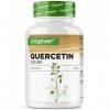 Quercétine - 500 mg - 180 gélules - 6 mois dapprovisionnement - Premium : extrait naturel de fleurs de chêne à 15:1 avec 95%