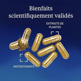 Quercétine optimisée Phospholipide Quercefit® - Microencapsulée 20x plus Biodisponible - Antioxydant & Immunité - 250 mg 60 g...